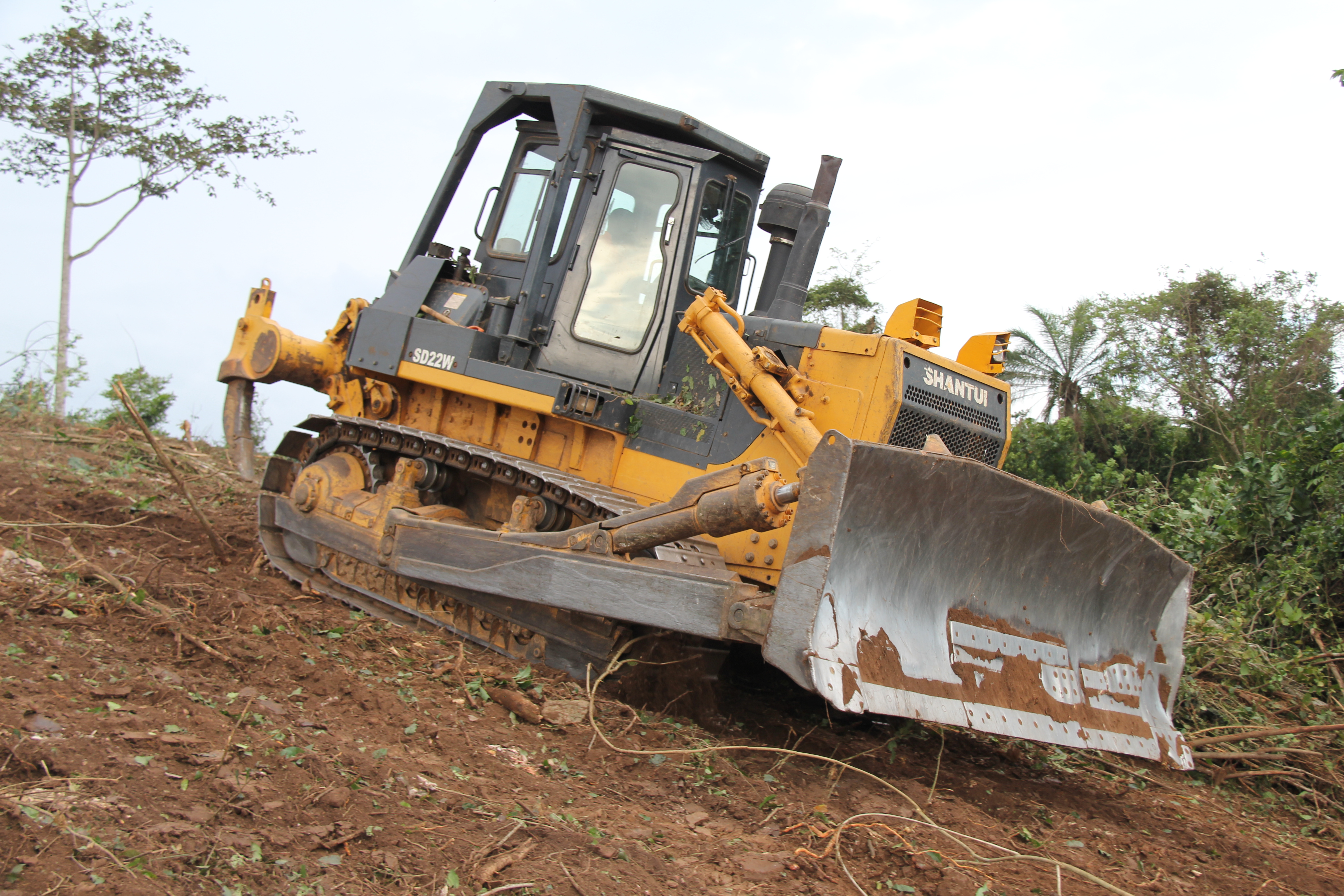 Tractor Clearing the land